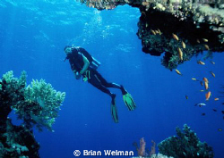 Blue Explorer by Brian Welman 